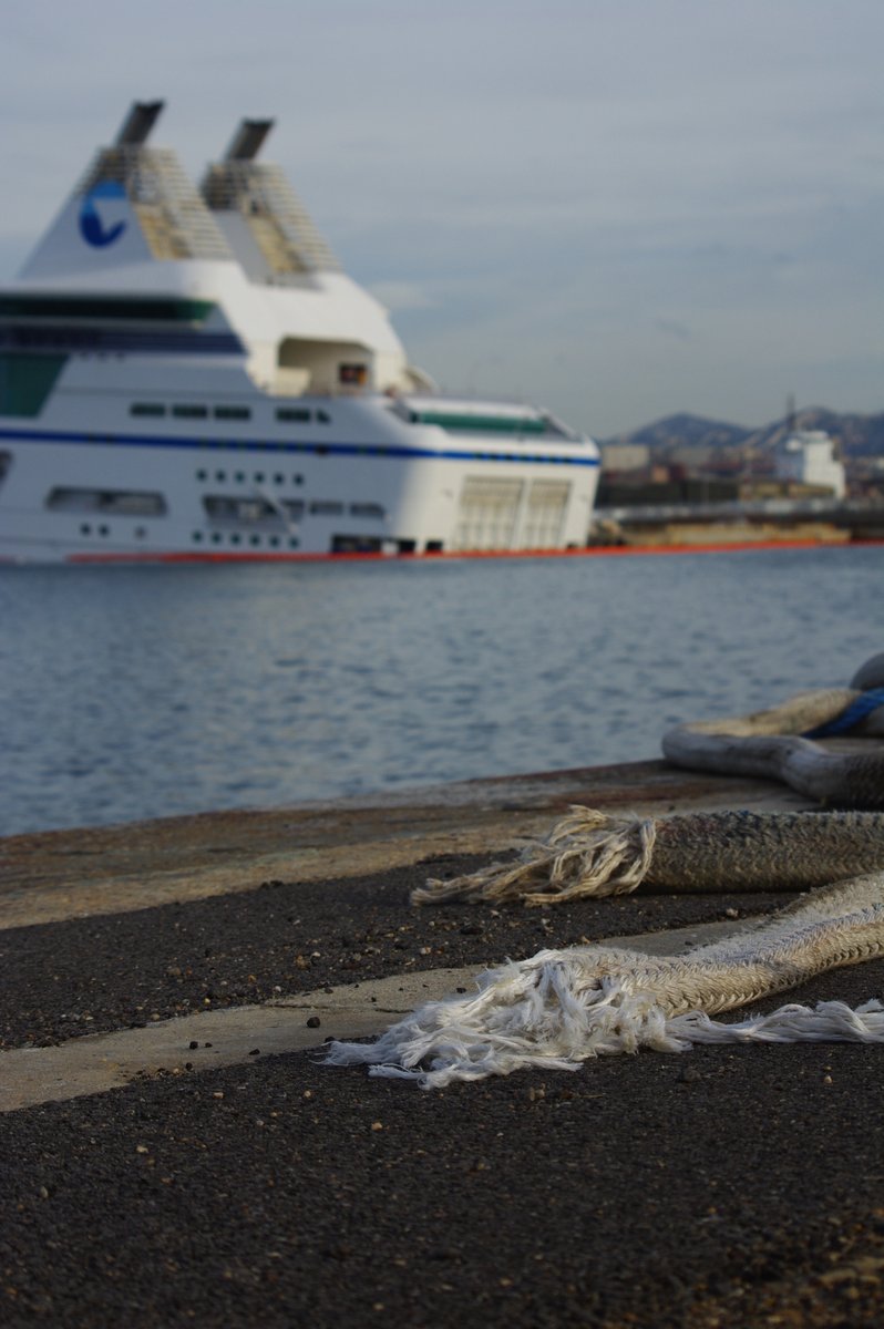 Les amarres qui ont rompu avec, en toile de fond, le navire endommag&eacute; ; Marseille, novembre 2012 ; photo : Alain Lepigeon.