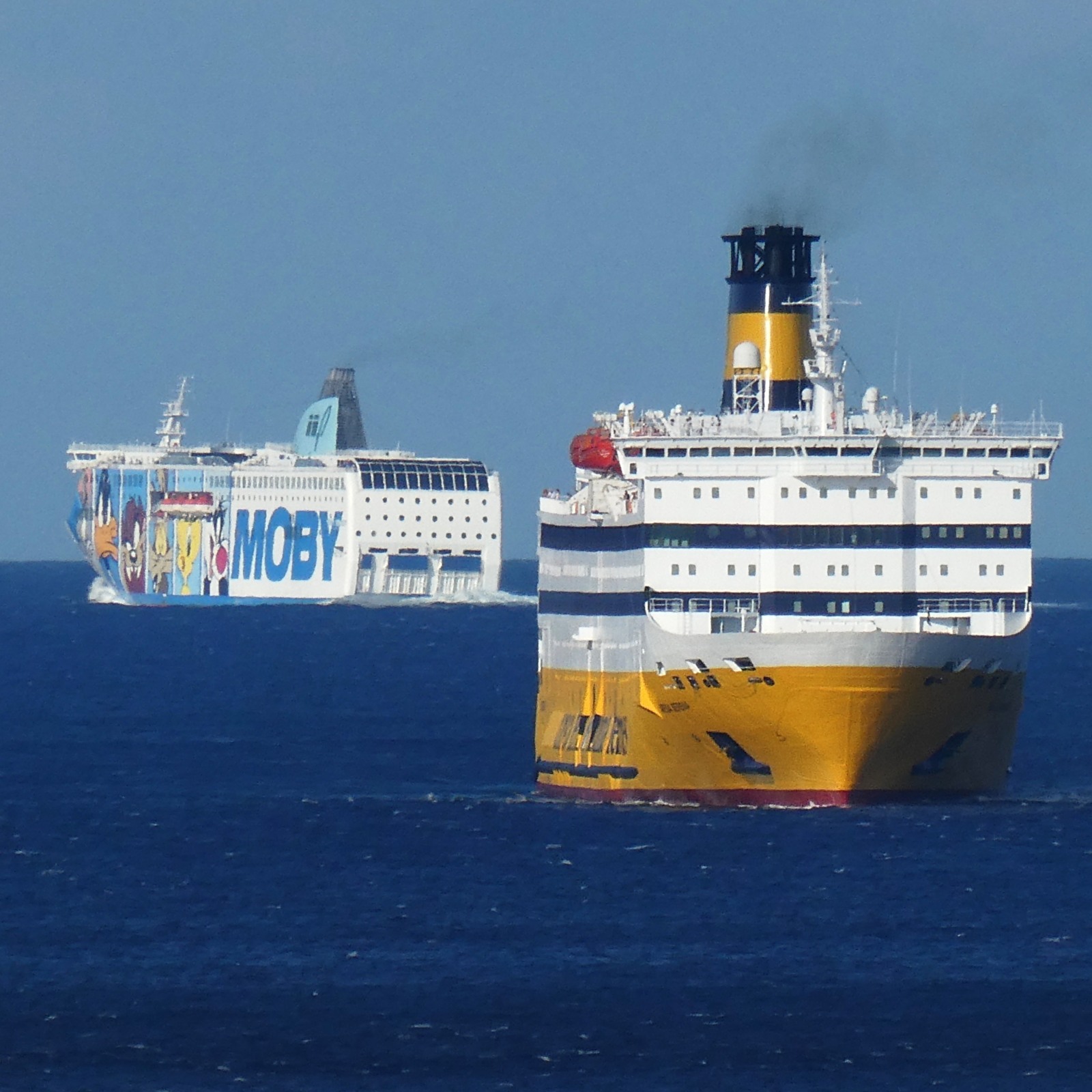 Moby Wonder et Mega Serena au large de Bastia, en aoput 2026 ; photo : Romain Roussel